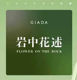 岩中花述